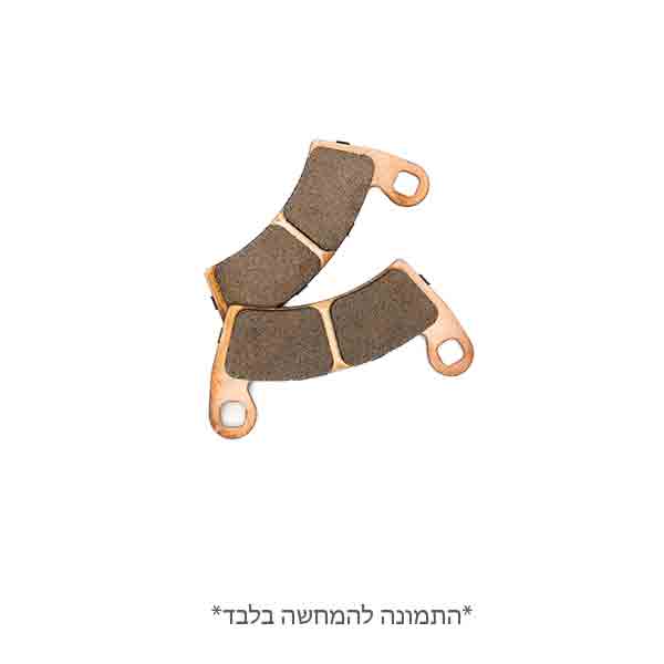 רפידות ברקס לרייזר 1000 2205949