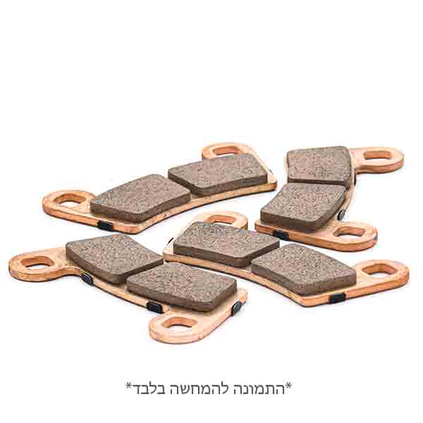 רפידות ברקס מקורי פולריס